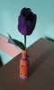Wazon od pana na tulipana_18